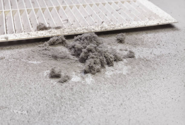 Best Air Duct Cleaning Near Me  in Cheboygan, MI