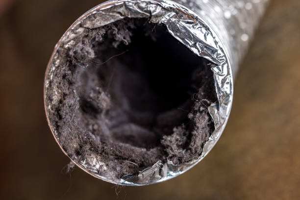 Best Air Duct Cleaning Near Me in MI